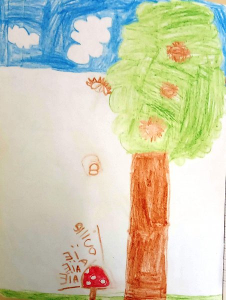 img_20191001_155038 img_20191001_155038