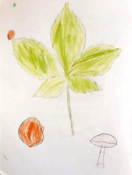 img_20191001_155054 img_20191001_155054