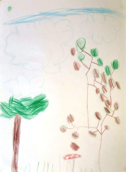 img_20191001_155313 img_20191001_155313